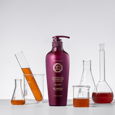 [Daeng Gi Meo Ri] Shampoo For Damaged Hair